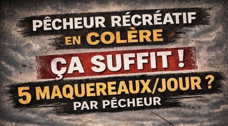 a limitation à 5 maquereaux par jour et par pêcheur suscite une vive opposition dans le monde de la pêche récréative. Malgré les alertes répétées sur les conséquences sociales, économiques et politiques d’une telle mesure pour la plaisance, la ministre chargée de la Mer, Catherine Chabaud, maintient ce plafond strict.