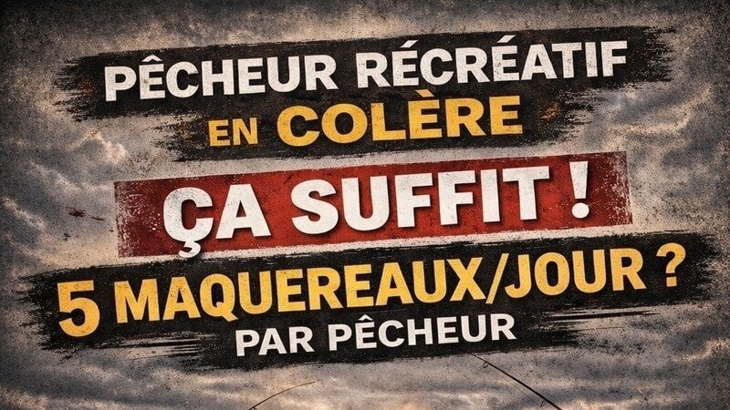 a limitation à 5 maquereaux par jour et par pêcheur suscite une vive opposition dans le monde de la pêche récréative. Malgré les alertes répétées sur les conséquences sociales, économiques et politiques d’une telle mesure pour la plaisance, la ministre chargée de la Mer, Catherine Chabaud, maintient ce plafond strict.
